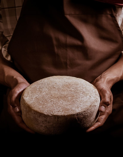 FORMAGGIO PUGLIESE - CACIOTTA STRACCHINATA